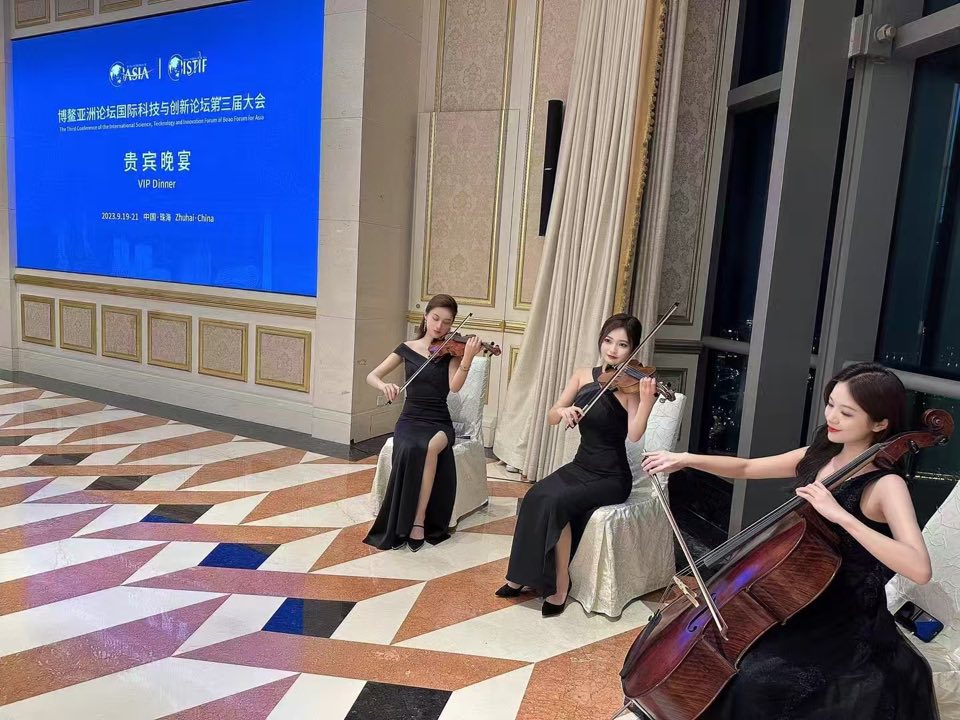 企业年会与晚宴现场弦乐演出